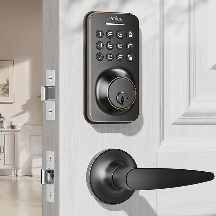 handle smart door locks 750x750.webp