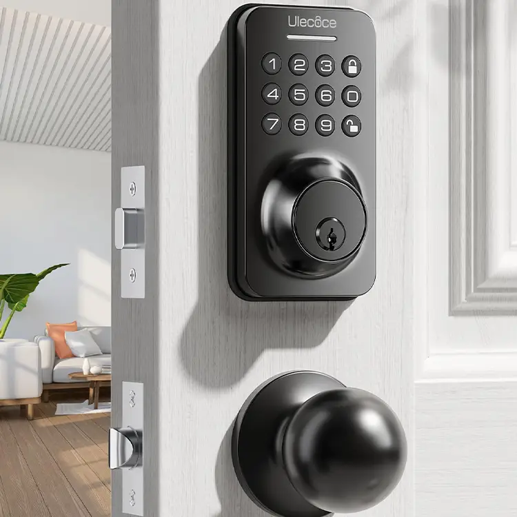 keypad lock with handle 750x750.webp